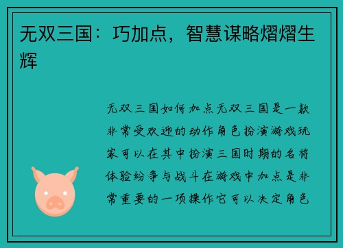 无双三国：巧加点，智慧谋略熠熠生辉